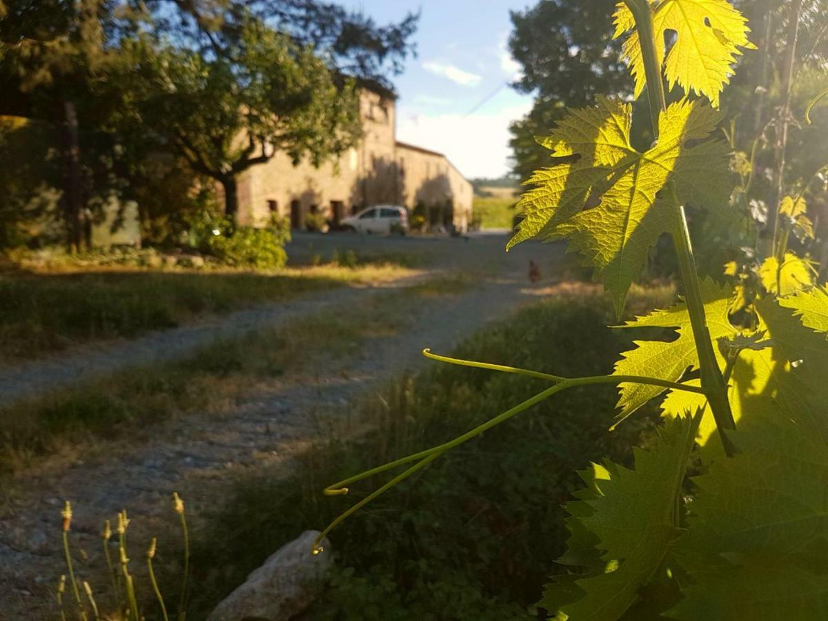 Agriturismo Podere Molino Peccioli Ngoại thất bức ảnh