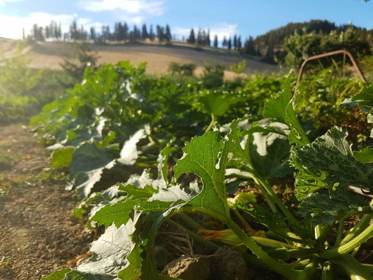 Agriturismo Podere Molino Peccioli Ngoại thất bức ảnh