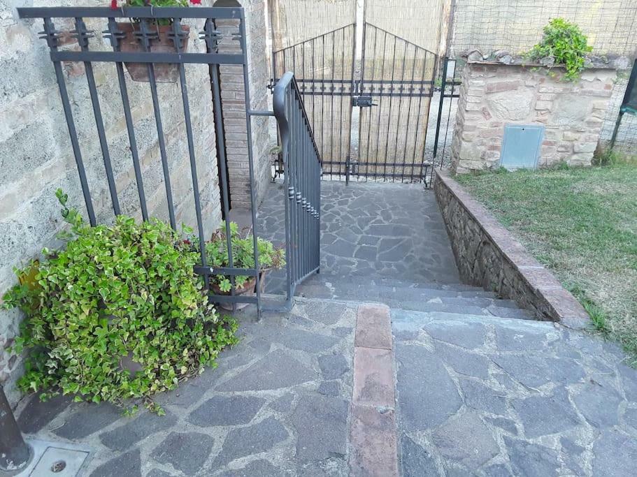 Agriturismo Podere Molino Peccioli Ngoại thất bức ảnh