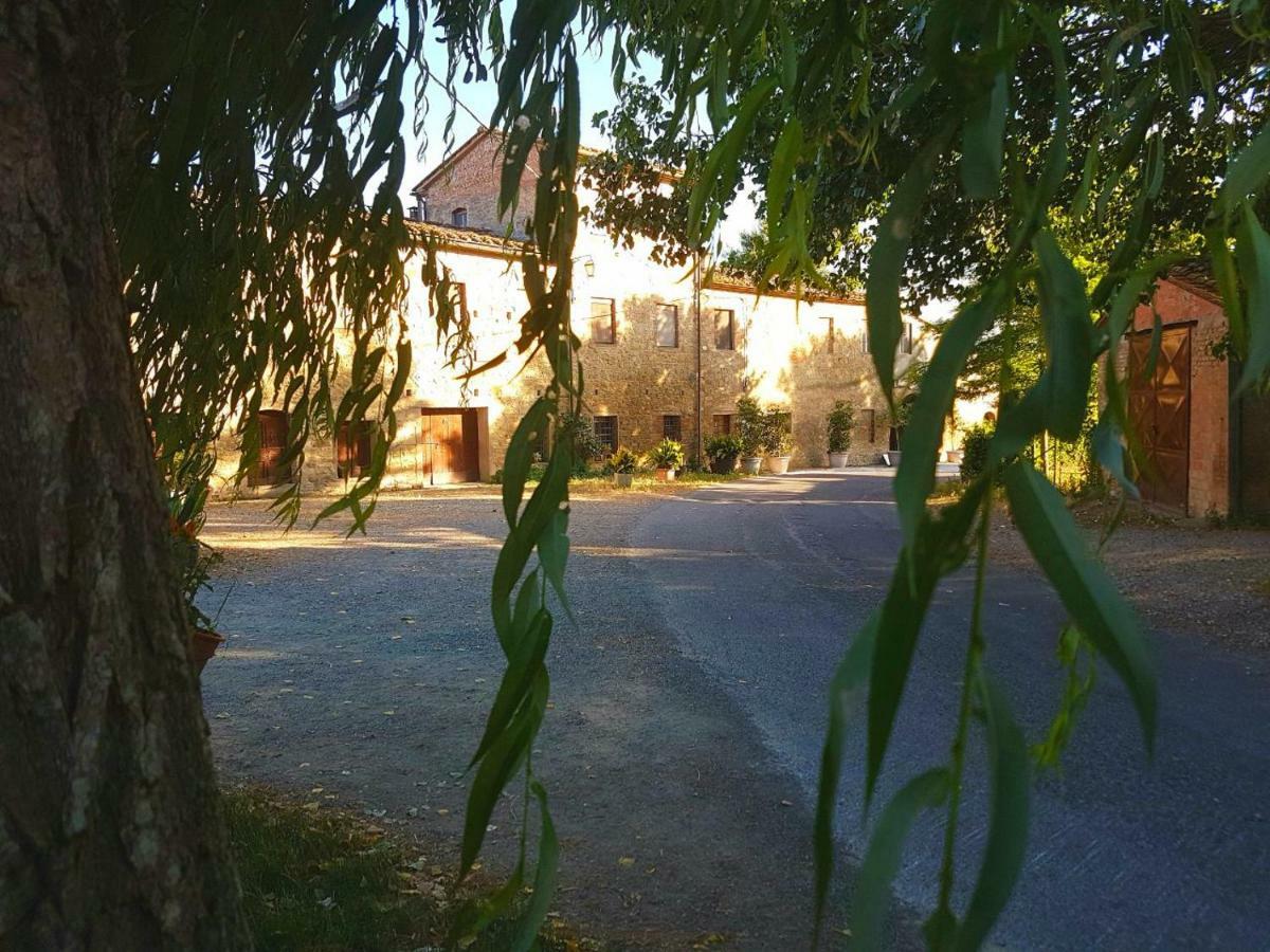 Agriturismo Podere Molino Peccioli Ngoại thất bức ảnh