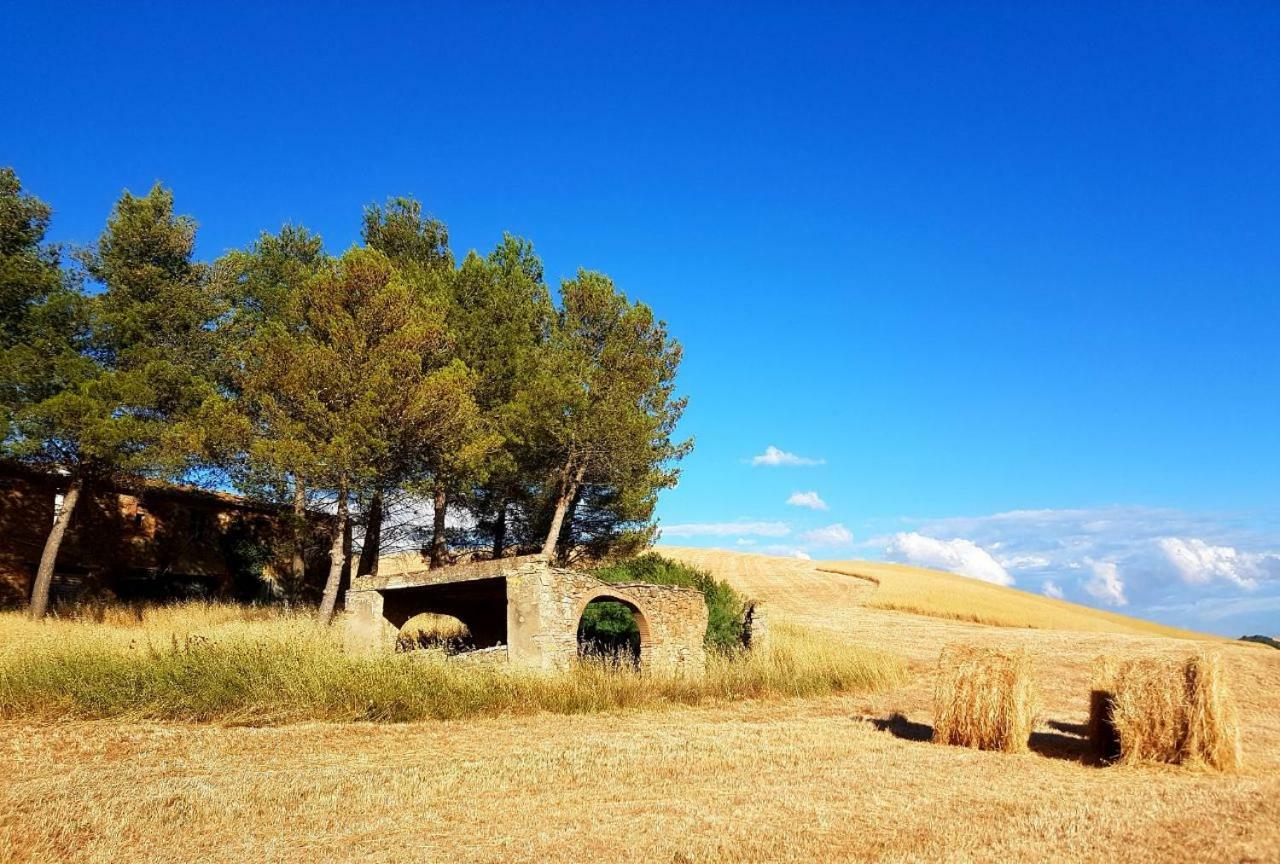 Agriturismo Podere Molino Peccioli Ngoại thất bức ảnh