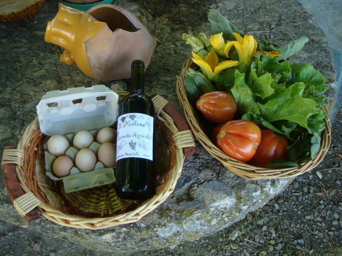 Agriturismo Podere Molino Peccioli Ngoại thất bức ảnh