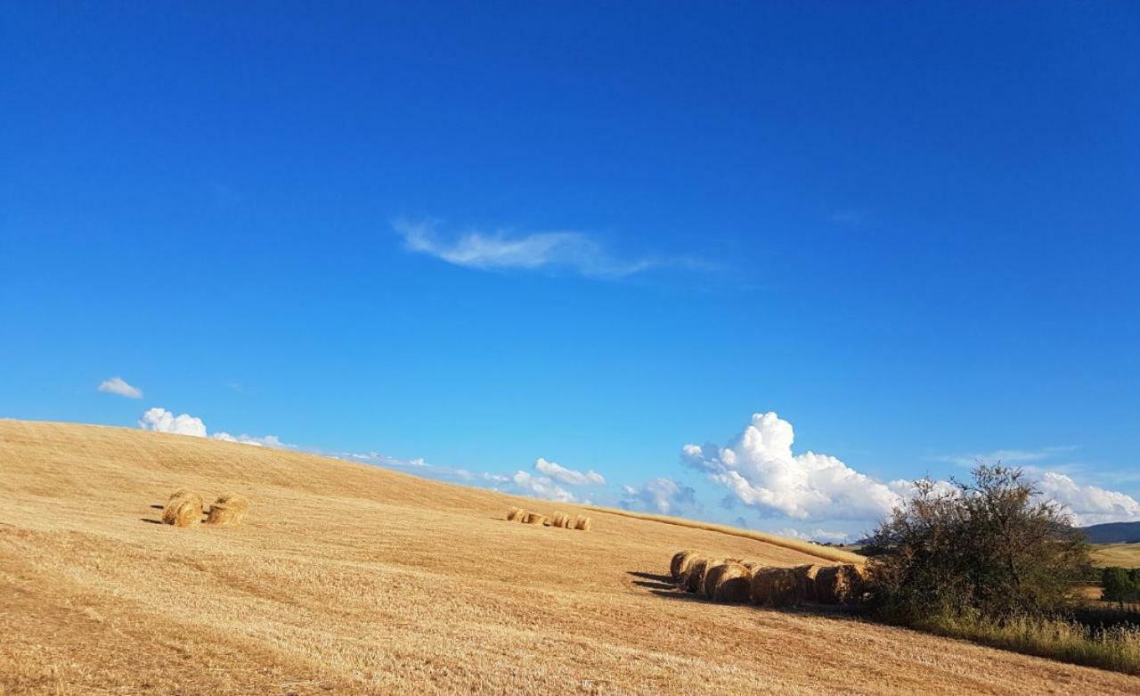 Agriturismo Podere Molino Peccioli Ngoại thất bức ảnh
