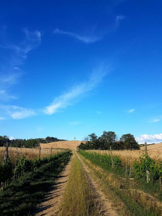 Agriturismo Podere Molino Peccioli Ngoại thất bức ảnh