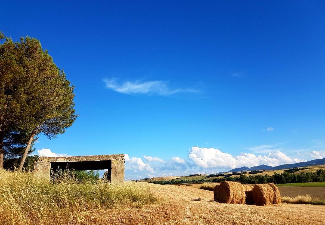 Agriturismo Podere Molino Peccioli Ngoại thất bức ảnh