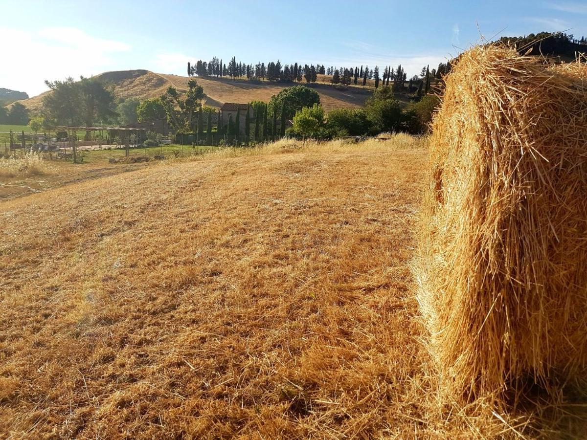 Agriturismo Podere Molino Peccioli Ngoại thất bức ảnh