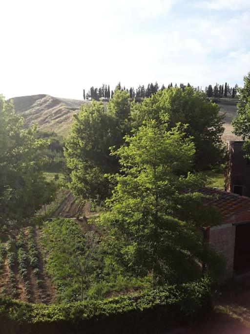 Agriturismo Podere Molino Peccioli Ngoại thất bức ảnh