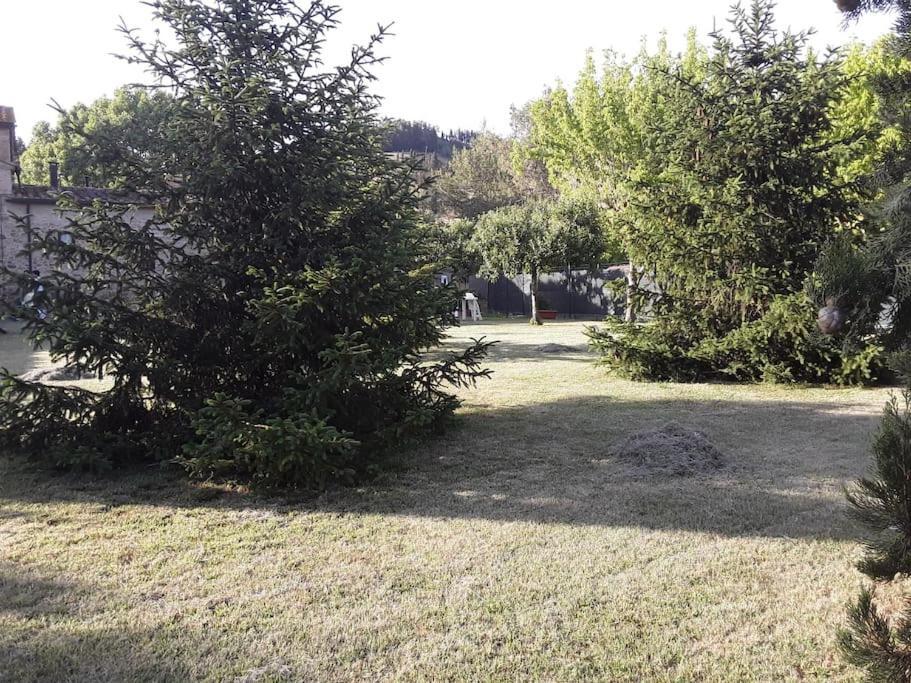 Agriturismo Podere Molino Peccioli Ngoại thất bức ảnh